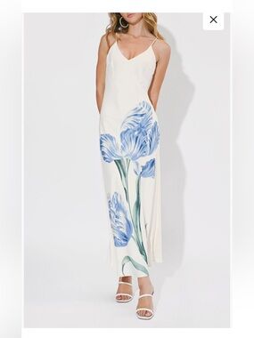 Adelyn Rae Cream Maxi Dress with Blue Floral Print
